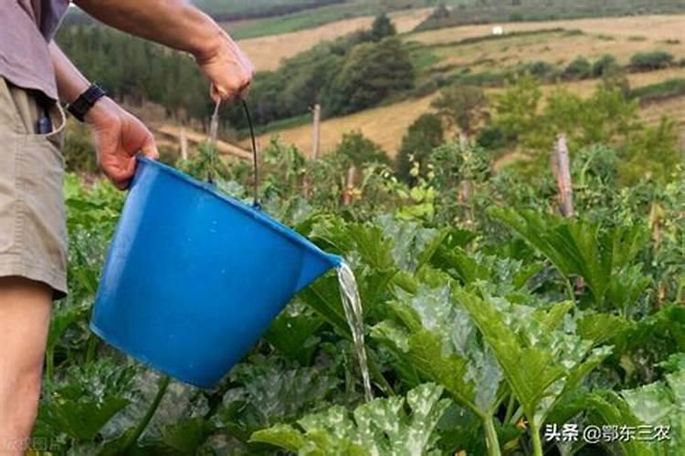 过期的纯牛奶、安慕希酸奶怎么废物利用？