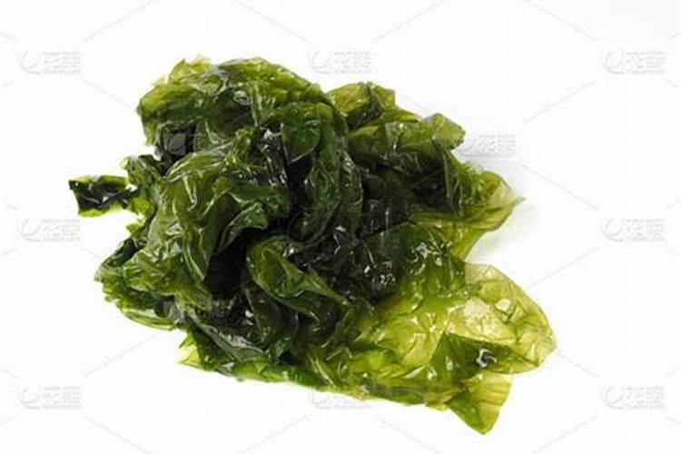 海藻肥怎么样