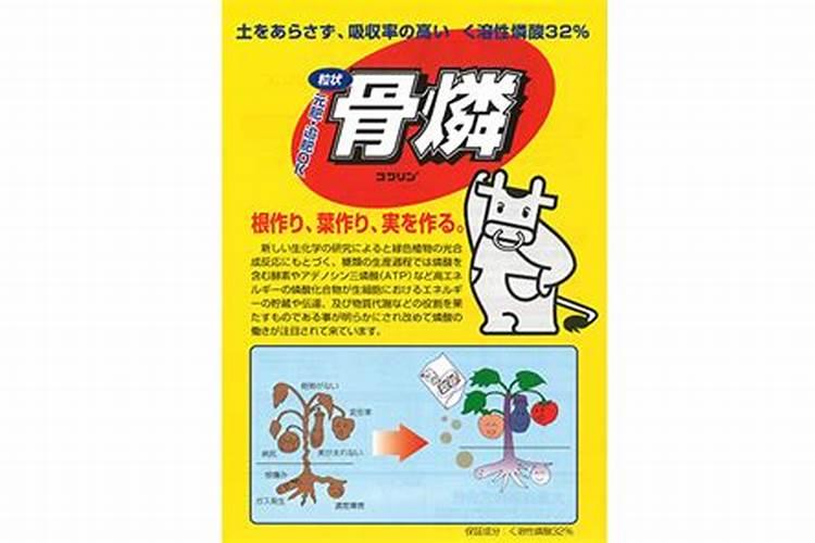 家里养花,只要准备3种肥料就够了
