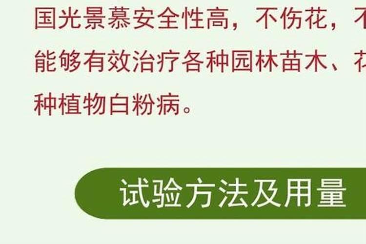 玉米增产套餐有哪些配方,玉米增产套餐和控旺剂能一起用吗