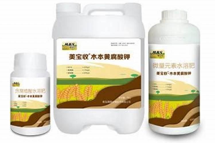 玉竹怎样施黄腐酸钾