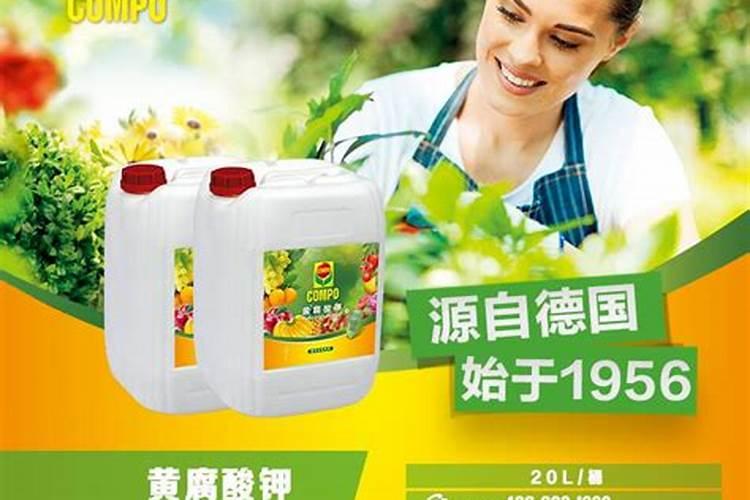 果树每隔多久可以淋(黄腐酸钾？