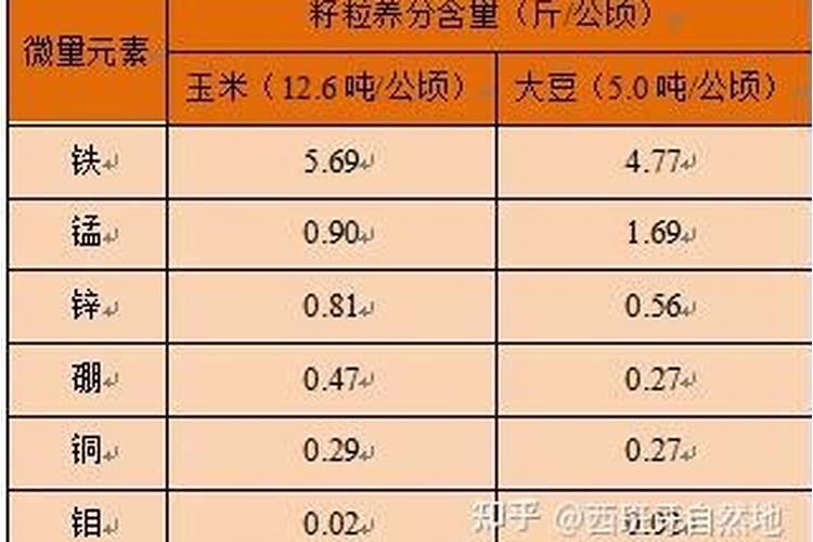 玉米施什么肥料最好