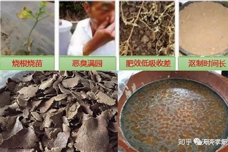 水培肥料怎么做