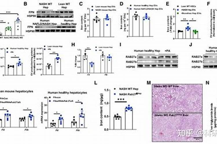 se是什么元素的名称？