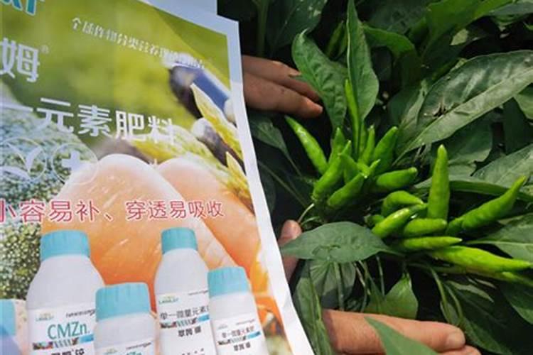 叶面喷施硼肥的最佳时间 硼肥应该怎么用