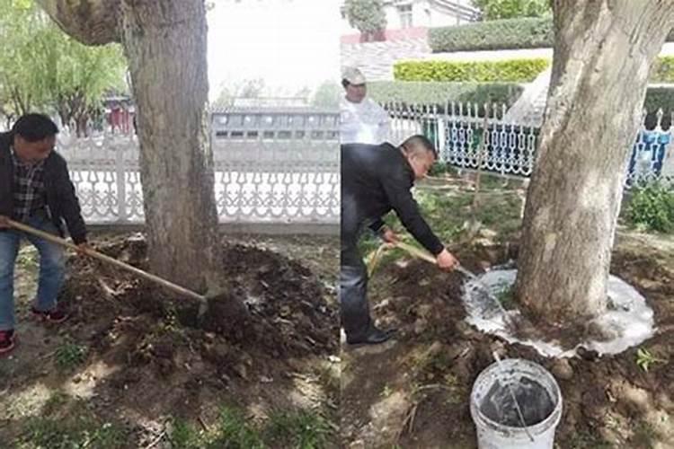 复合肥高氯好还是低氯好 有什么区别