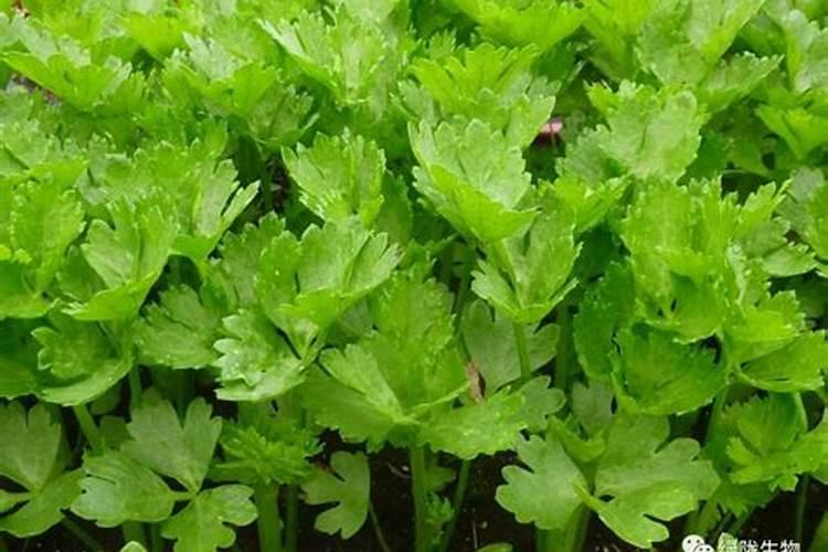 蓬莱最好的五个酒店,龙海附近酒店景区排名第一