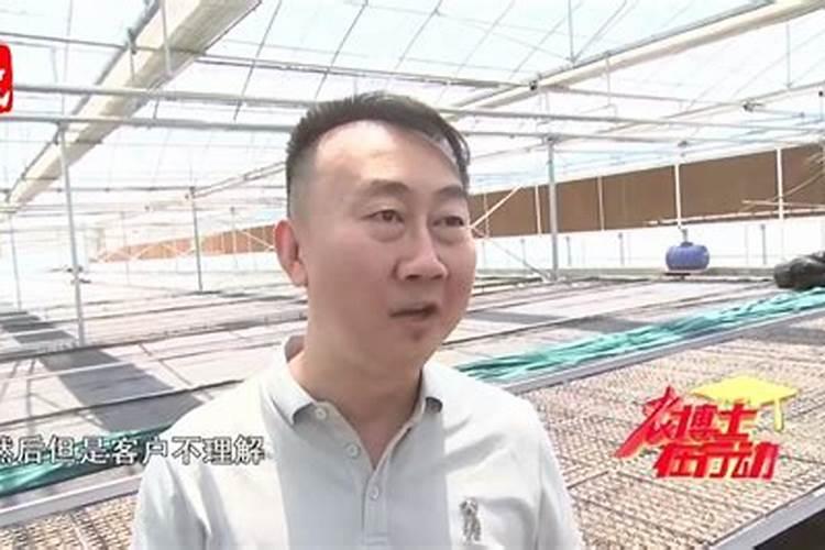 如何预防茄子青枯病