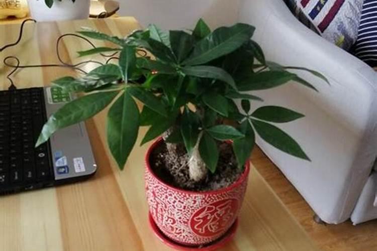 病毒唑注射液