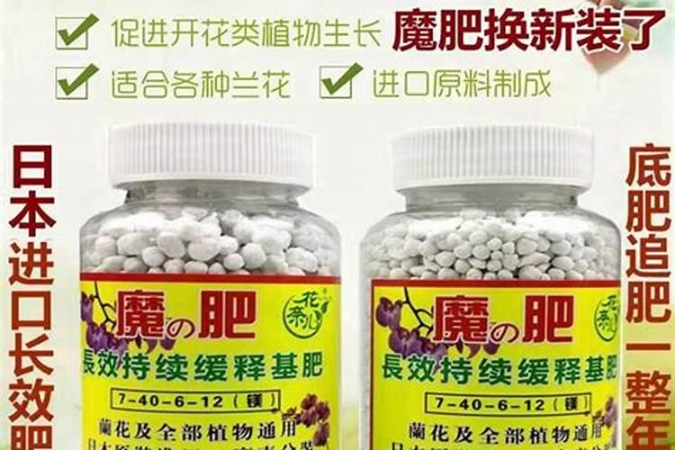 蝴蝶兰开花喂什么肥 怎么施肥