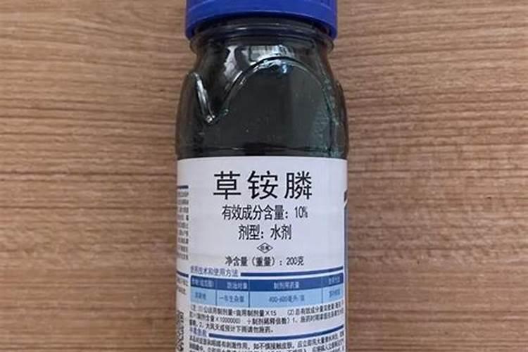 葡萄棚下可以种红薯吗？