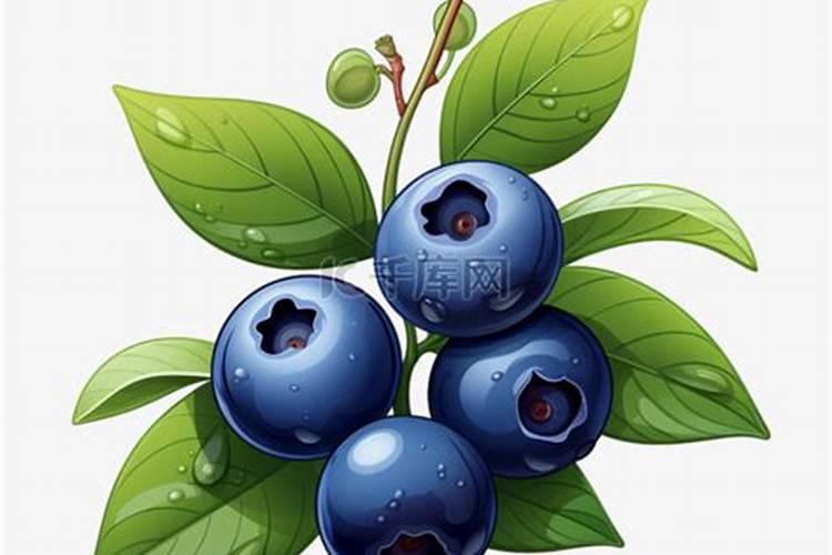 草莓需要补钙吗？
