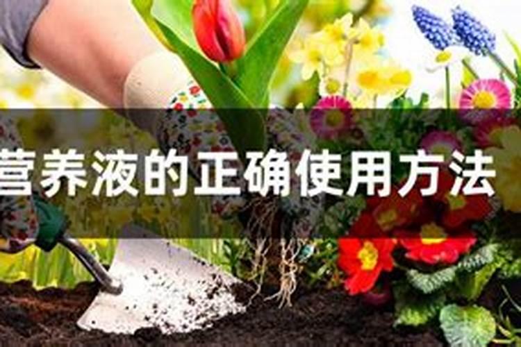 水溶肥十大名牌