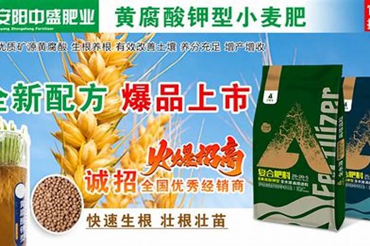 钾肥用作底肥集中施用于种油菜有益吗？