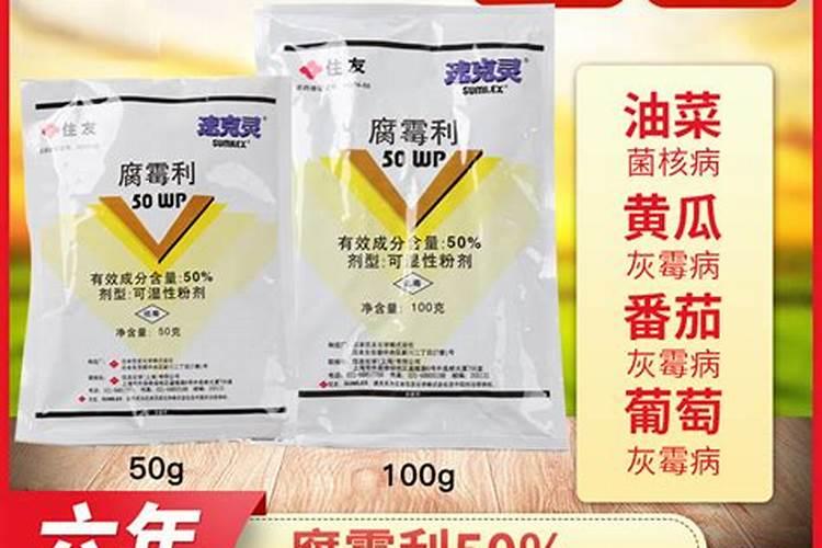 西红柿的常见病有哪些？怎么预防？