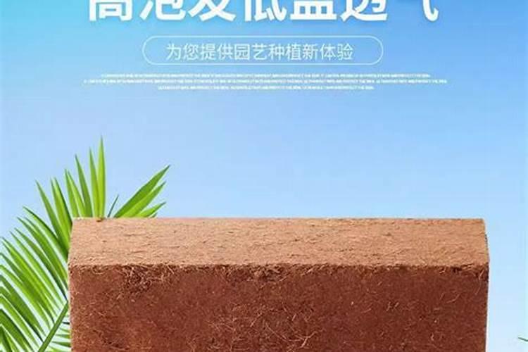 椰砖的使用方法及其注意事项