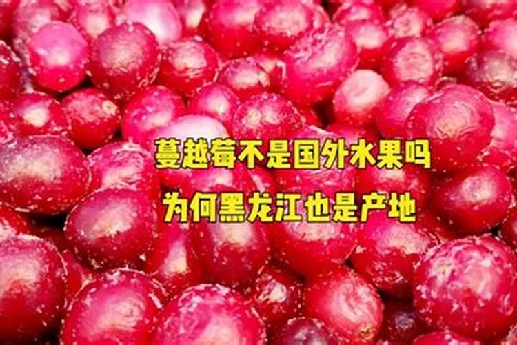 黄腐植酸叶面肥对蔬菜瓜果有什么实际应用效果