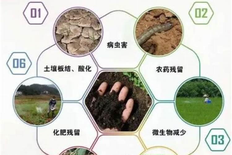 什么氮肥最好(什么氮肥最好用)