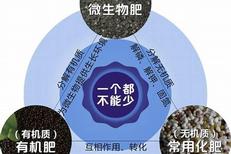 黑色颗粒复合肥叫什么