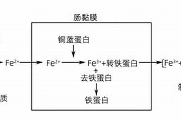 高钾肥料有什么作用,附正确的使用方法