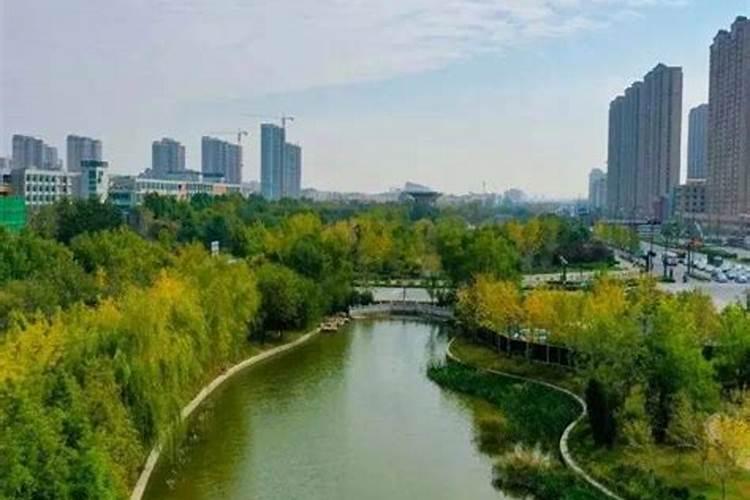 粉剂叶面肥冻了还能用吗？