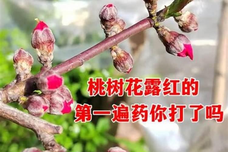 硝态氮肥料有哪些