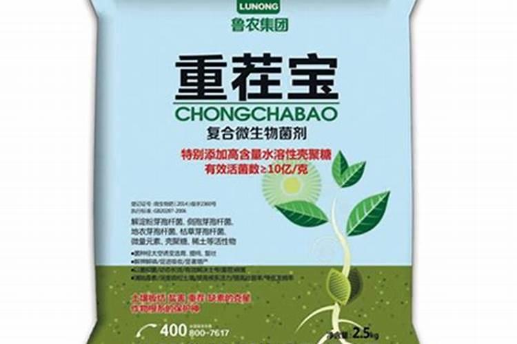 枯草芽孢杆菌和哈茨木霉灌根时地湿点好还是干点好