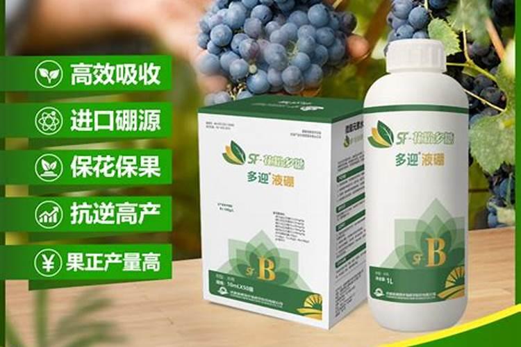 花无缺水溶肥销售网点