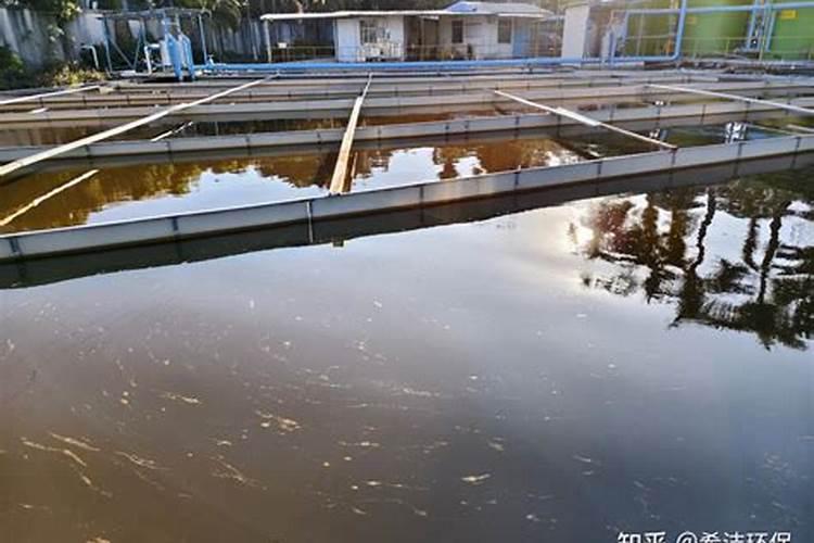 城市污水处理厂出水氨氮高怎么处理？