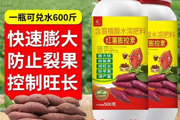 膨果最快的叶面水溶肥方法