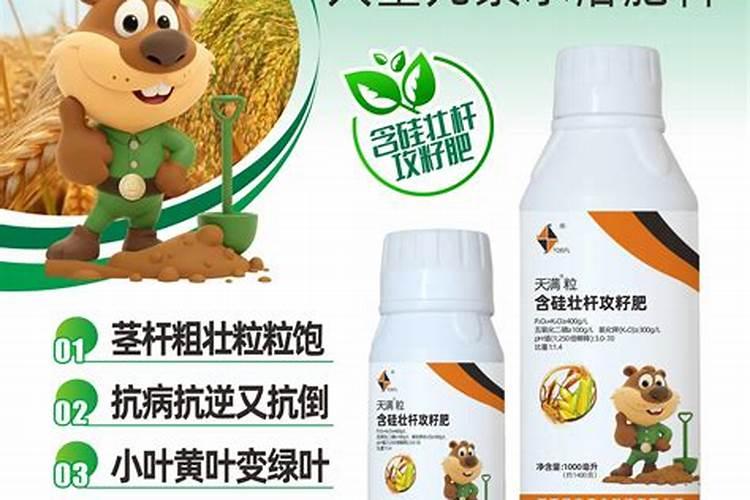 国内最好的硅肥有哪些？
