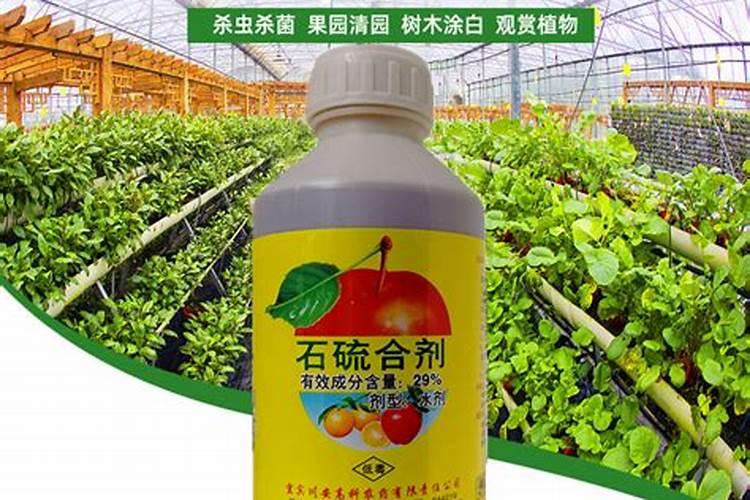 果园清园用什么药