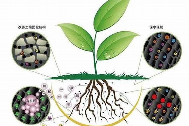 矿源黄腐酸钾可以用在新移栽的树苗吗？