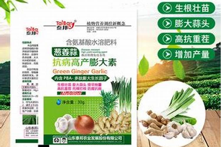 生姜追肥用什么肥料好