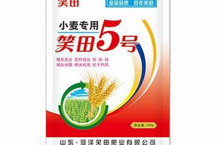 金枝玉叶喜肥吗 喜欢施什么肥料