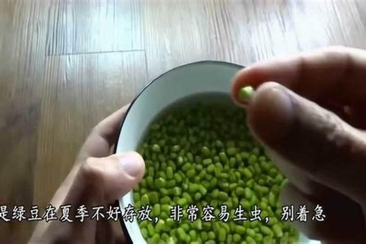 我家有好多绿豆都被虫咬了洞,不知道还能做什么用？丢了怪可惜的