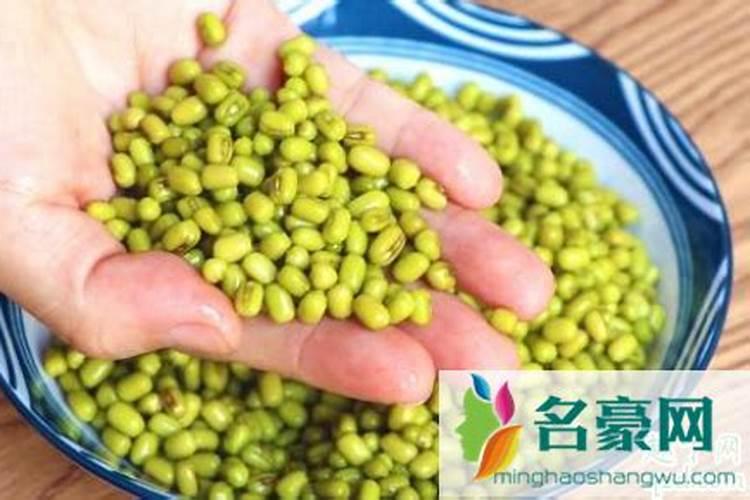 绿豆叶子上长蛀虫了怎么办？