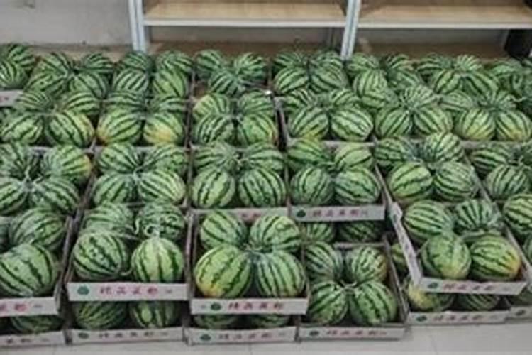 李伯伯共收2000斤西瓜,第一天卖了西瓜的一半,第二天又卖了654斤,还剩...
