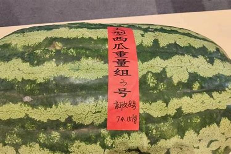 一千斤西瓜有多少个