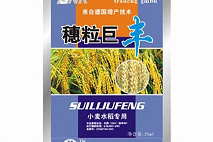 小麦打几遍芸苔素