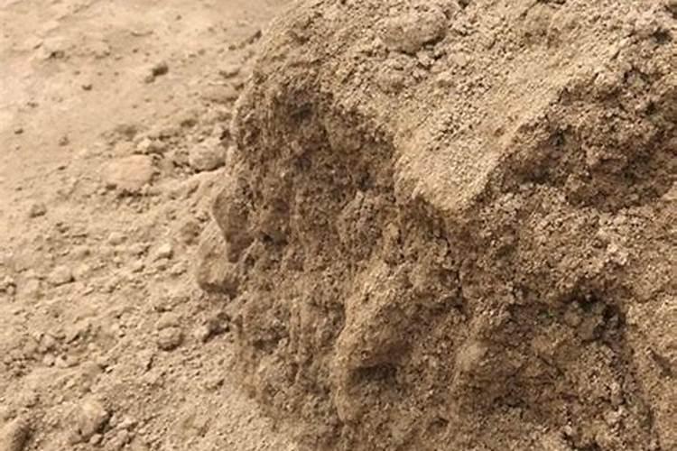 红色沙土,怎么改良土壤成可以种植的肥沃土壤？