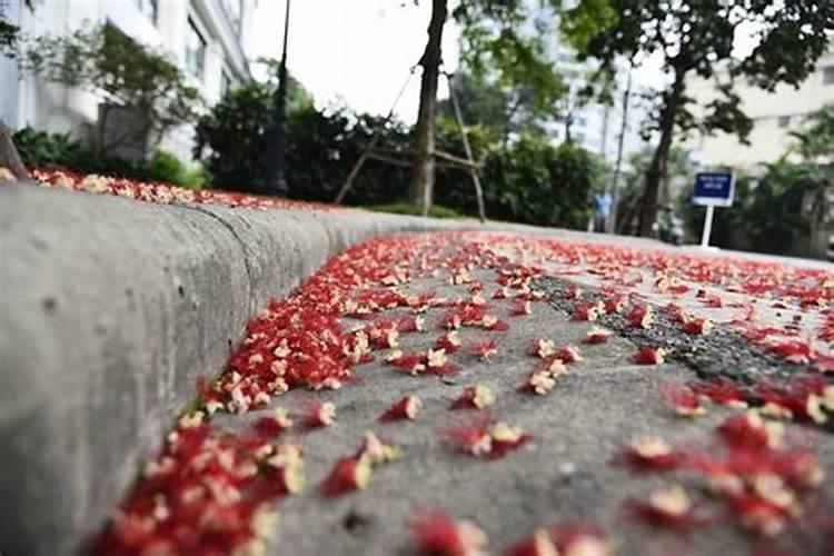 红土红土之土壤