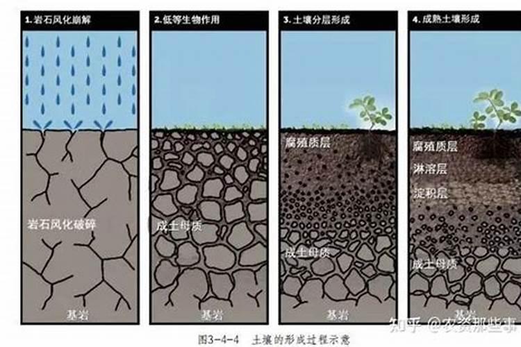 腐植酸是什么