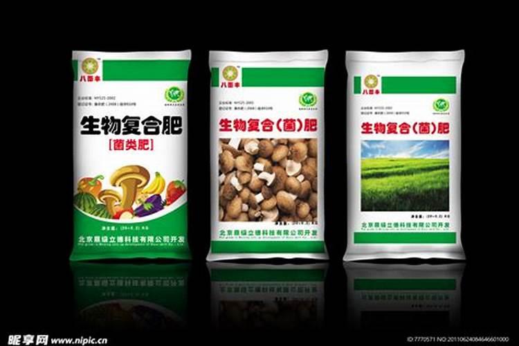 露天地如何种植芹菜