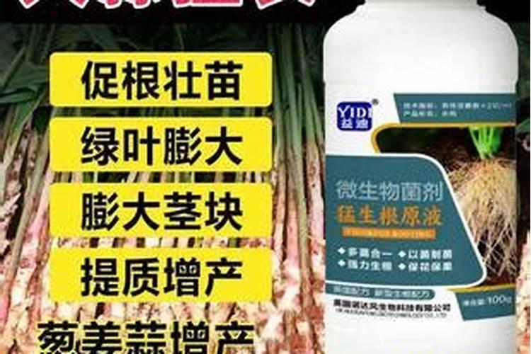 生姜提苗用什么水溶肥