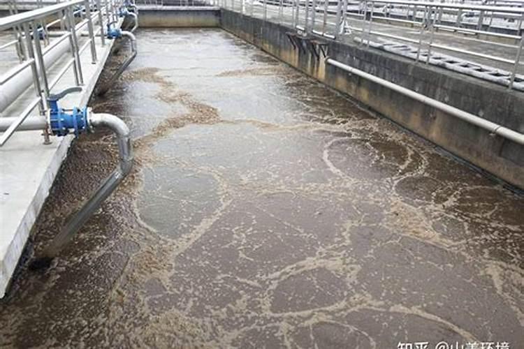 鱼塘肥水的最佳方法
