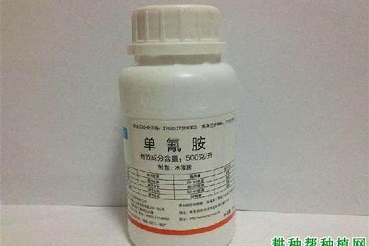 大棚夏黑葡萄种植管理技术