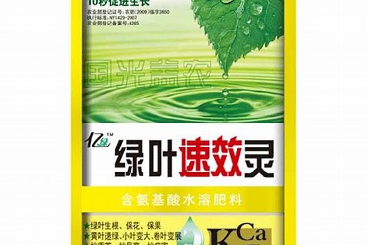 绿叶蔬菜用什么农药能让叶子绿