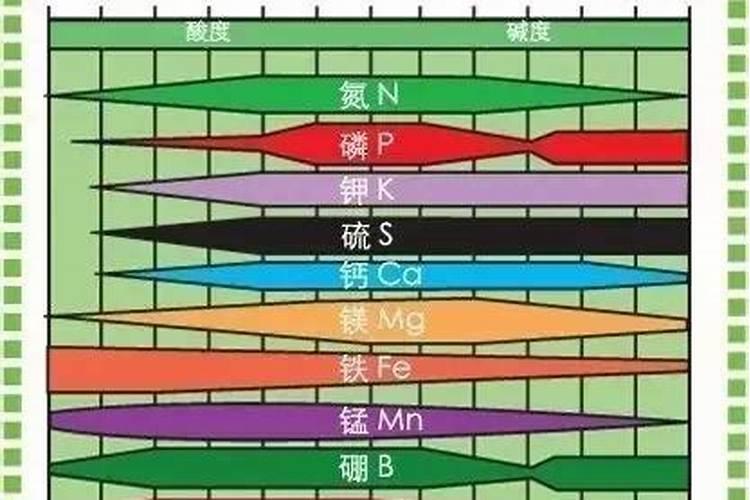 哪些植物可用氮肥